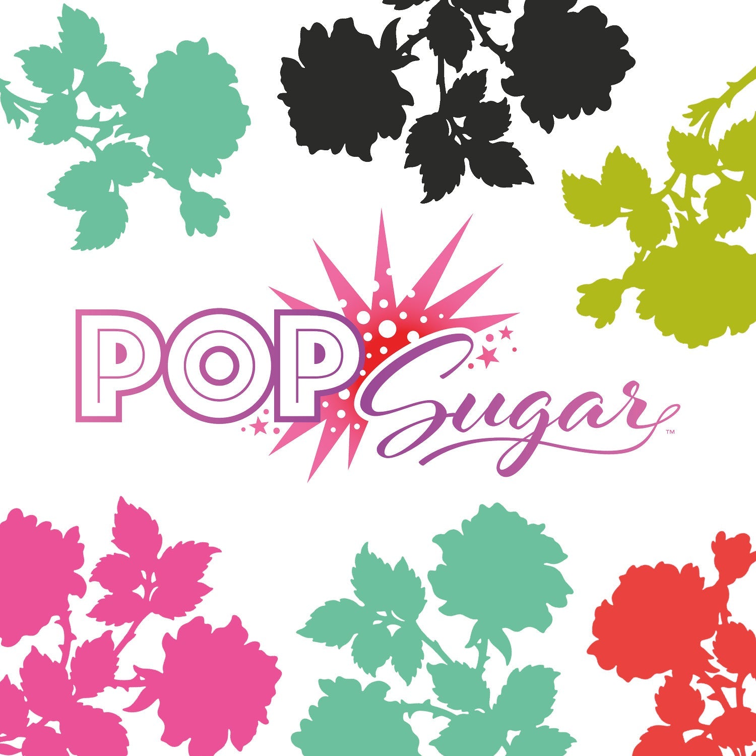 Pop Sugar by Figo