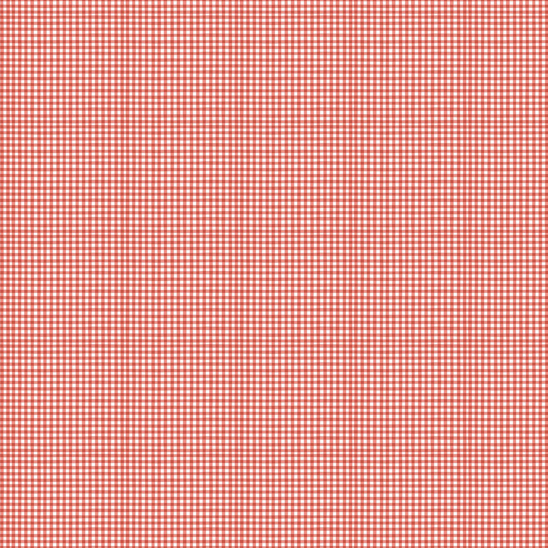Quack Quack Moo -  Gingham 27822-24