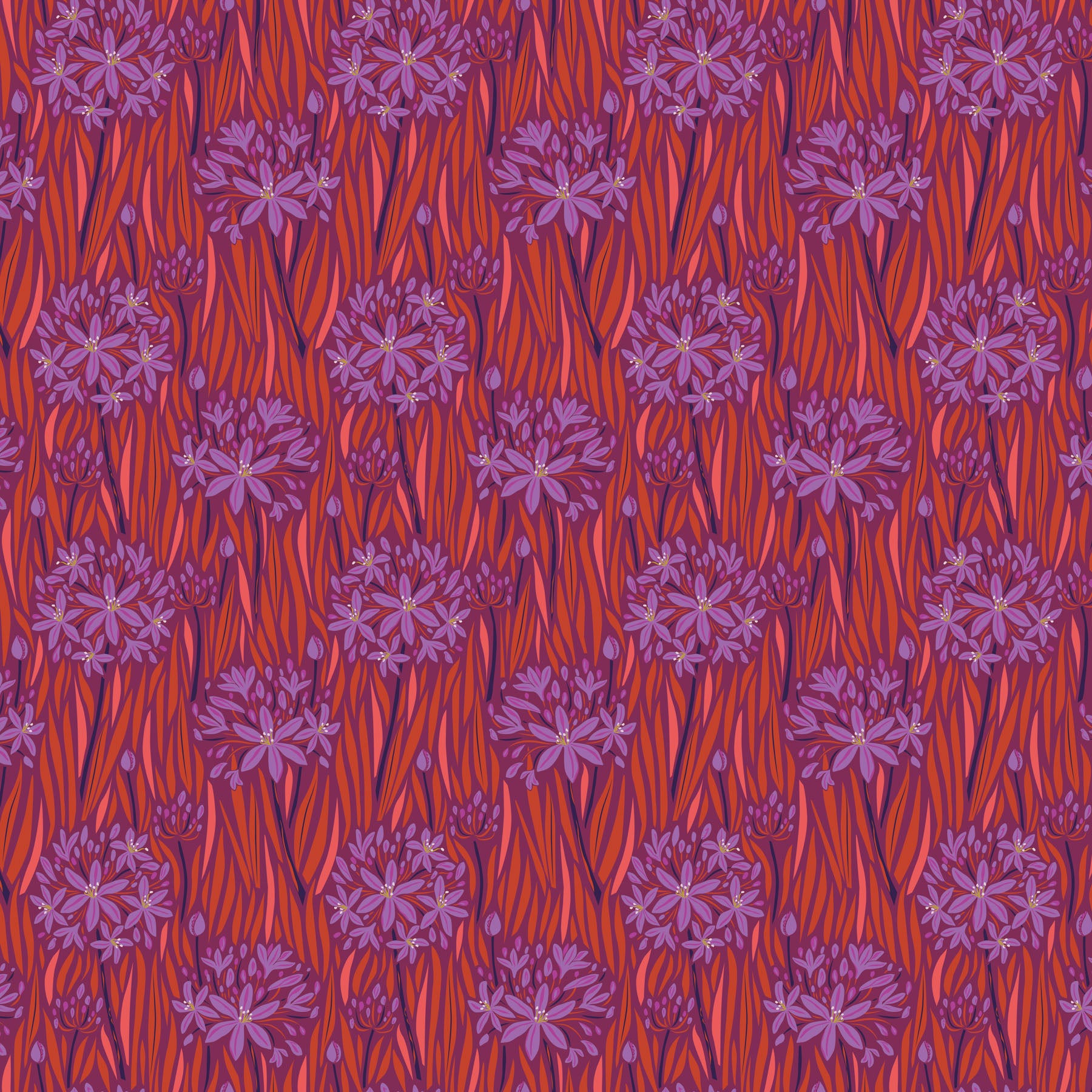 Wandering Eye - Agapantha Warm 56