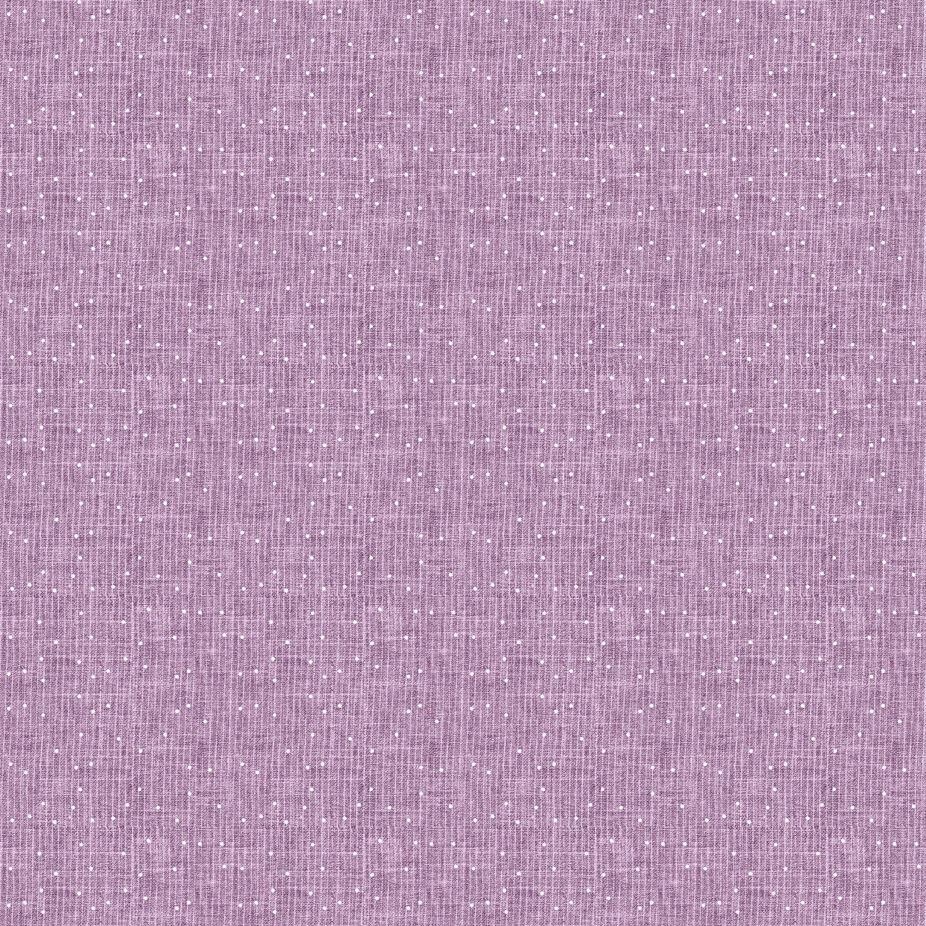 STASH - Strip Dot Orchid 92022-80