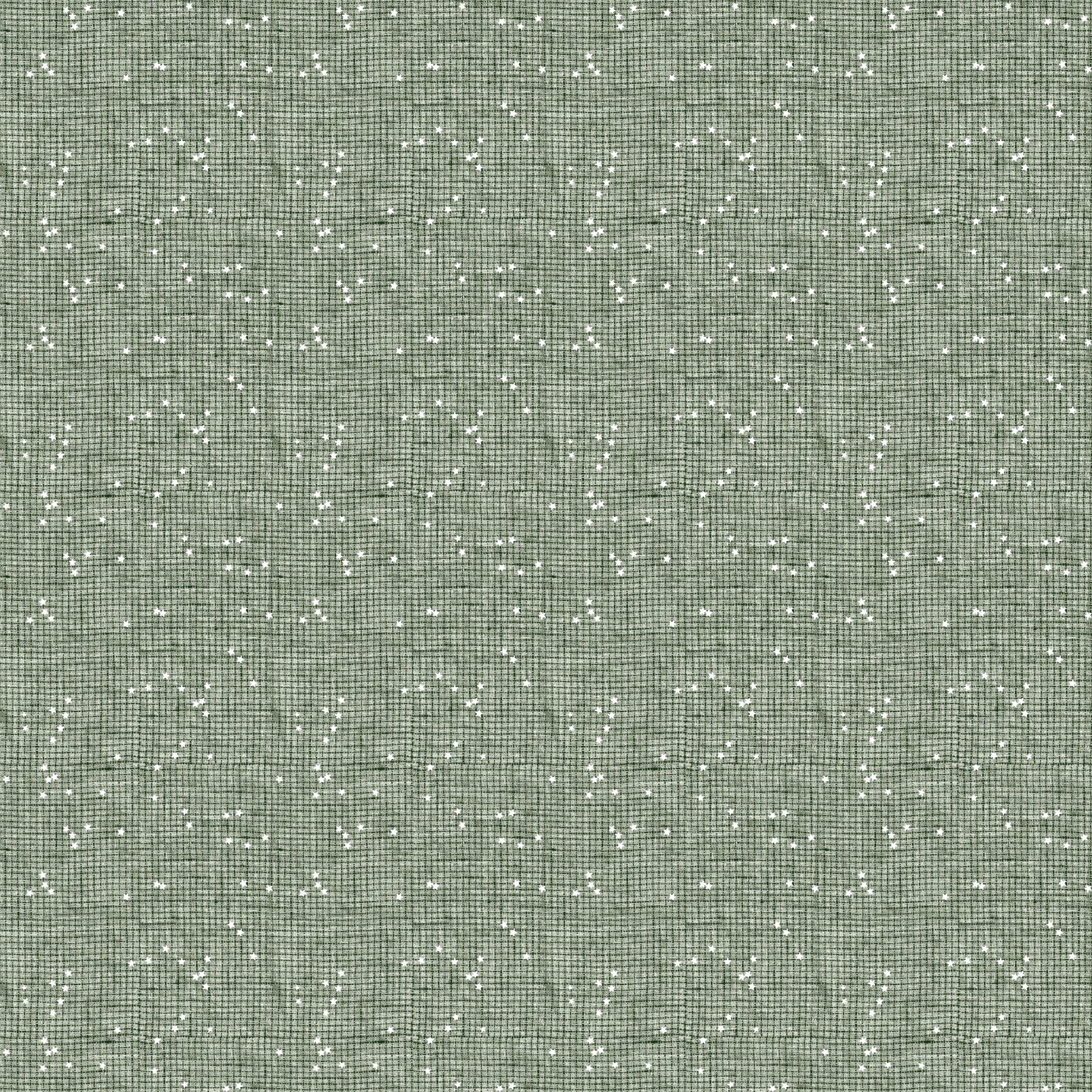 STASH -Check Sage 92023-70