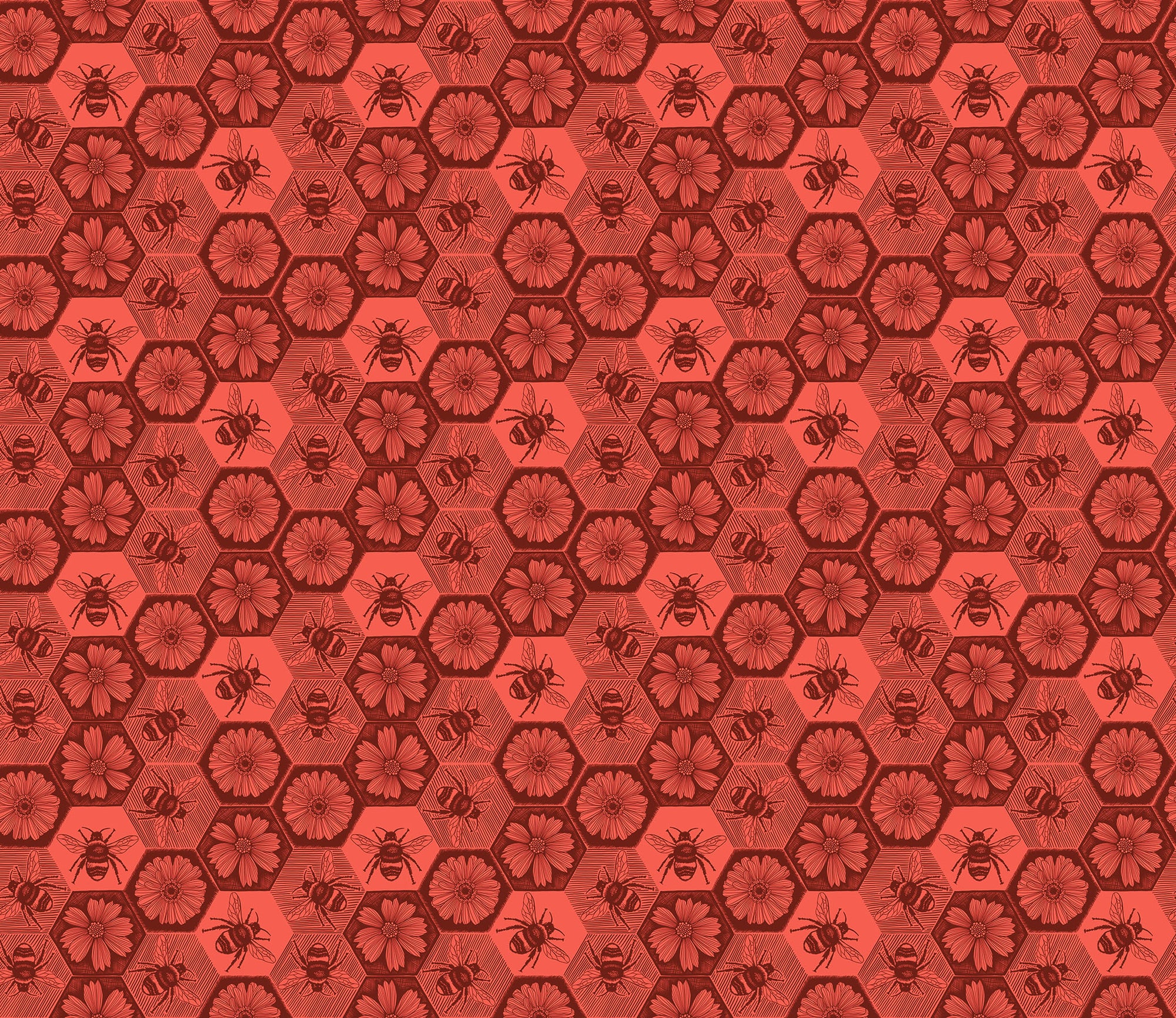Busy Coral AMT1005-38V
