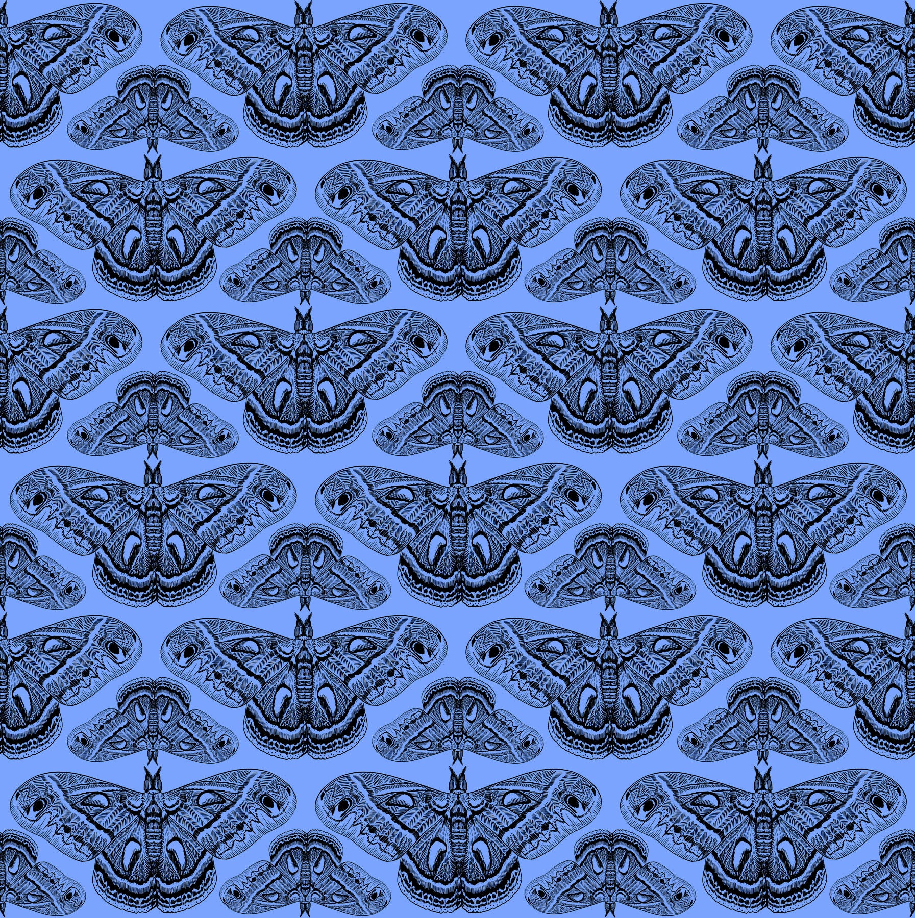 Cecropia - Cerulian AMT1008-45C