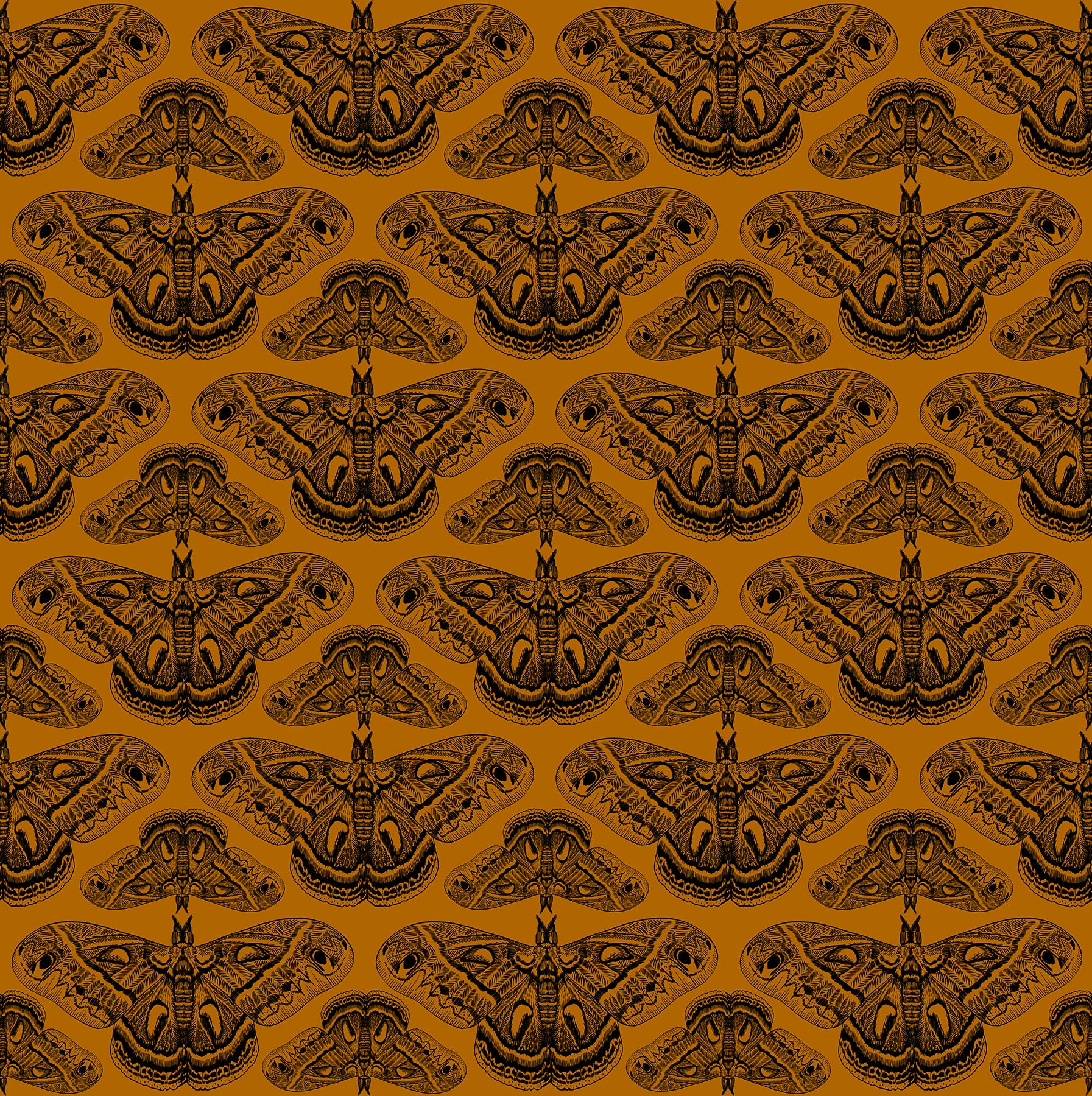 Cecropia - Saffron AMT1008-55V