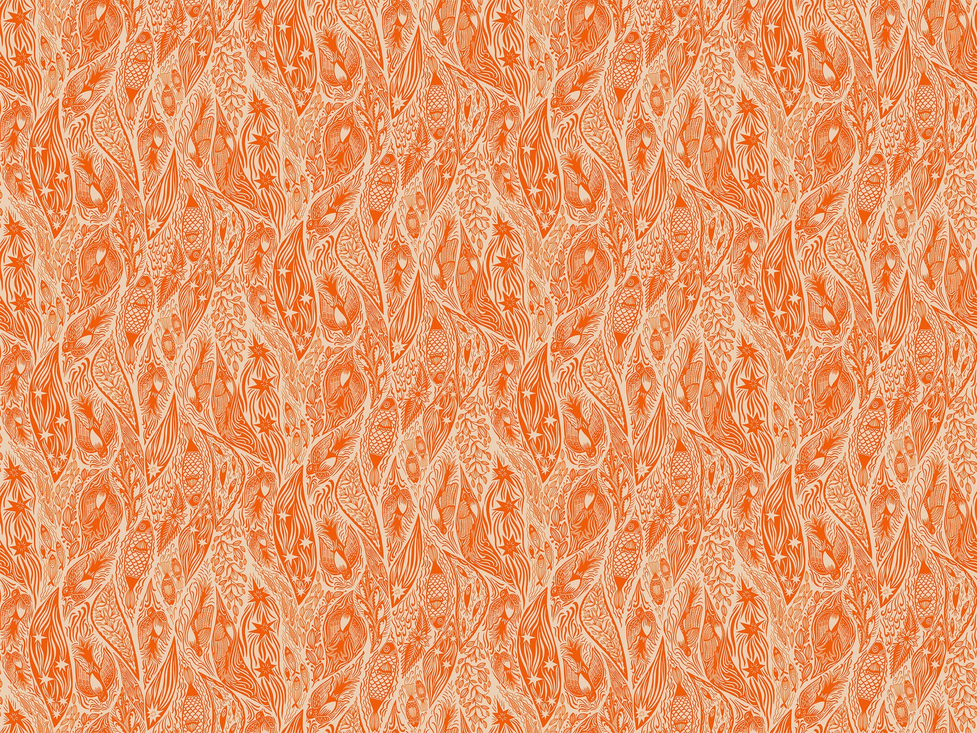 Shooting Star Current Tangerine AMT118-59V