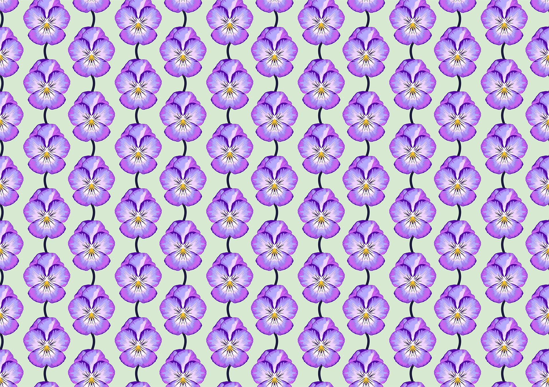 Iconic Pansy Lavendar