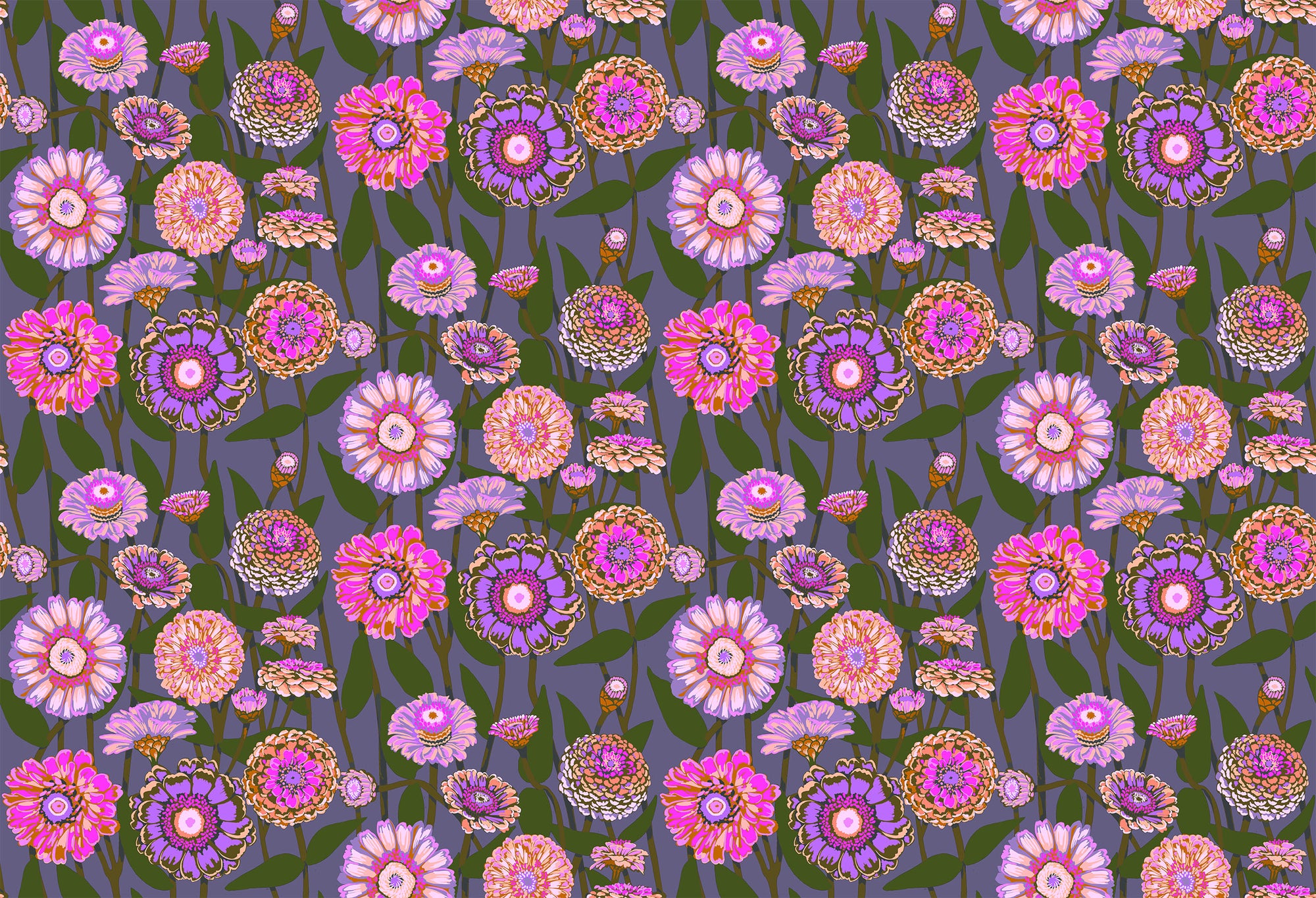 Jump Start Zinnia Show Mauve