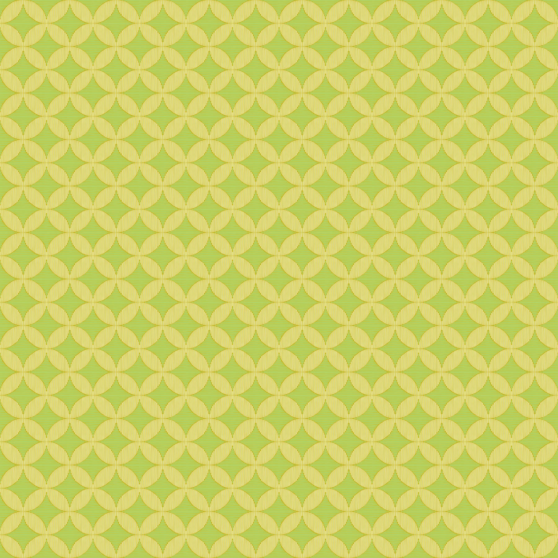 Woven Windows  Spring AMT171-72V